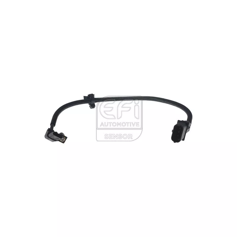 Capteur d'angle, vilebrequin EFI AUTOMOTIVE 303484