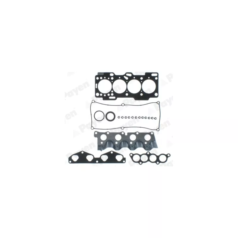 Pochette haute PAYEN CG9900