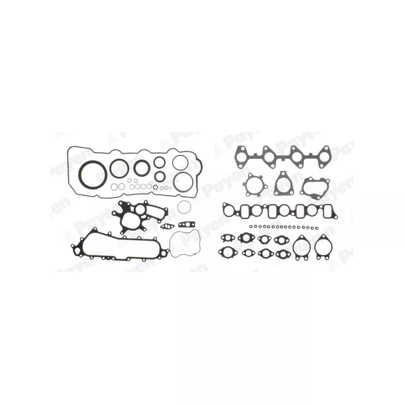 Pochette moteur complète PAYEN FF5980