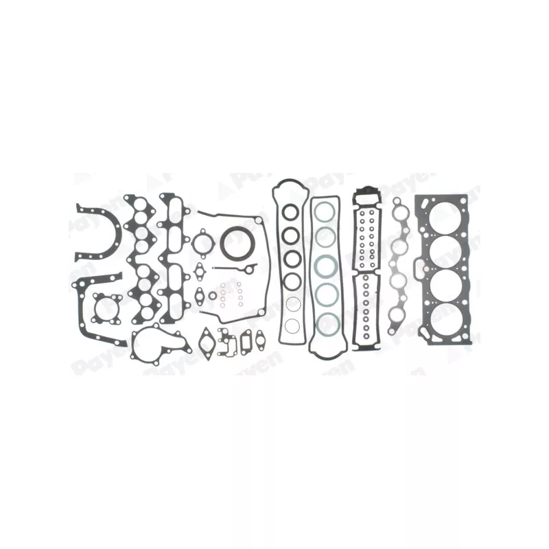 Pochette moteur complète PAYEN GN390