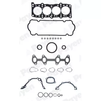 Pochette moteur complète PAYEN GP286