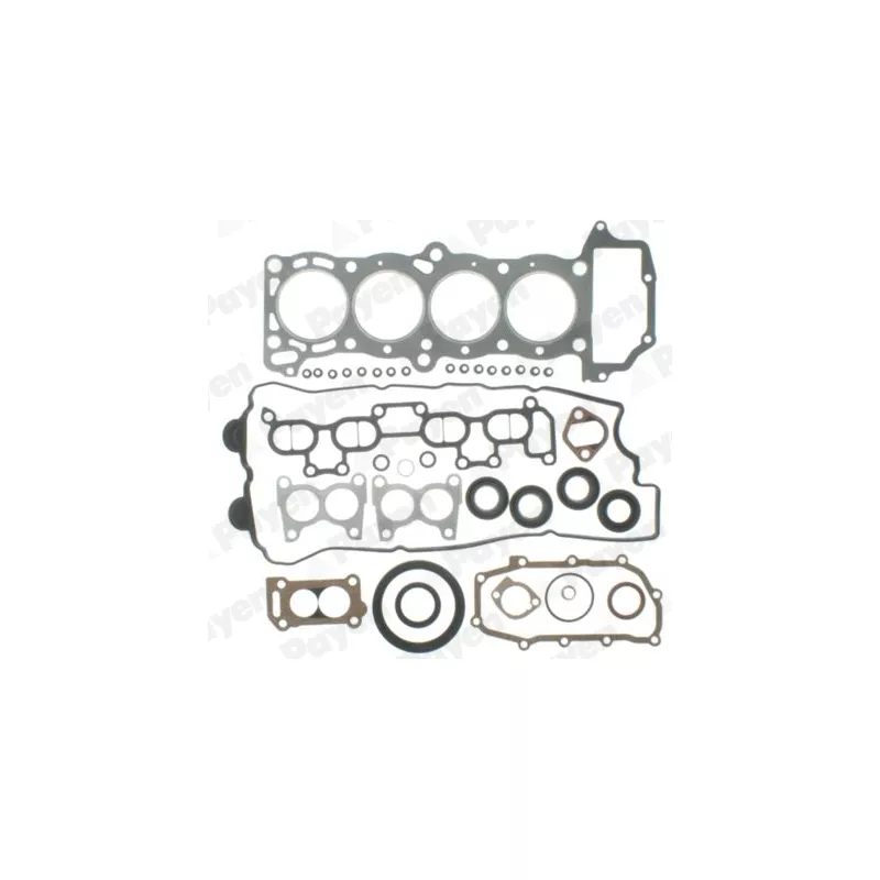 Pochette moteur complète PAYEN GP950