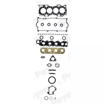 Pochette moteur complète PAYEN GR880