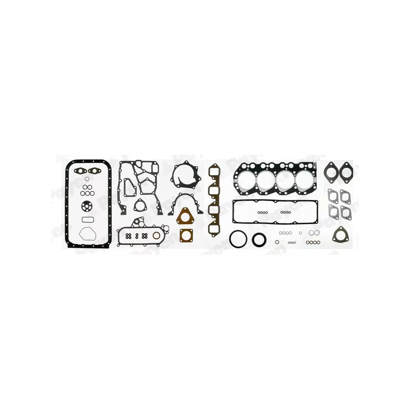 Pochette moteur complète PAYEN GS200