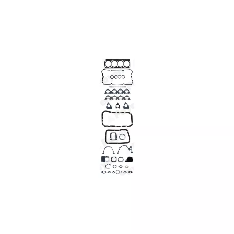 Pochette moteur complète PAYEN GT443