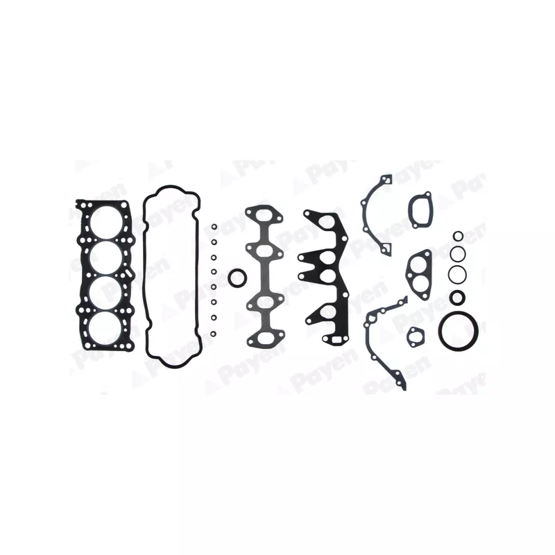 Pochette moteur complète PAYEN GV671
