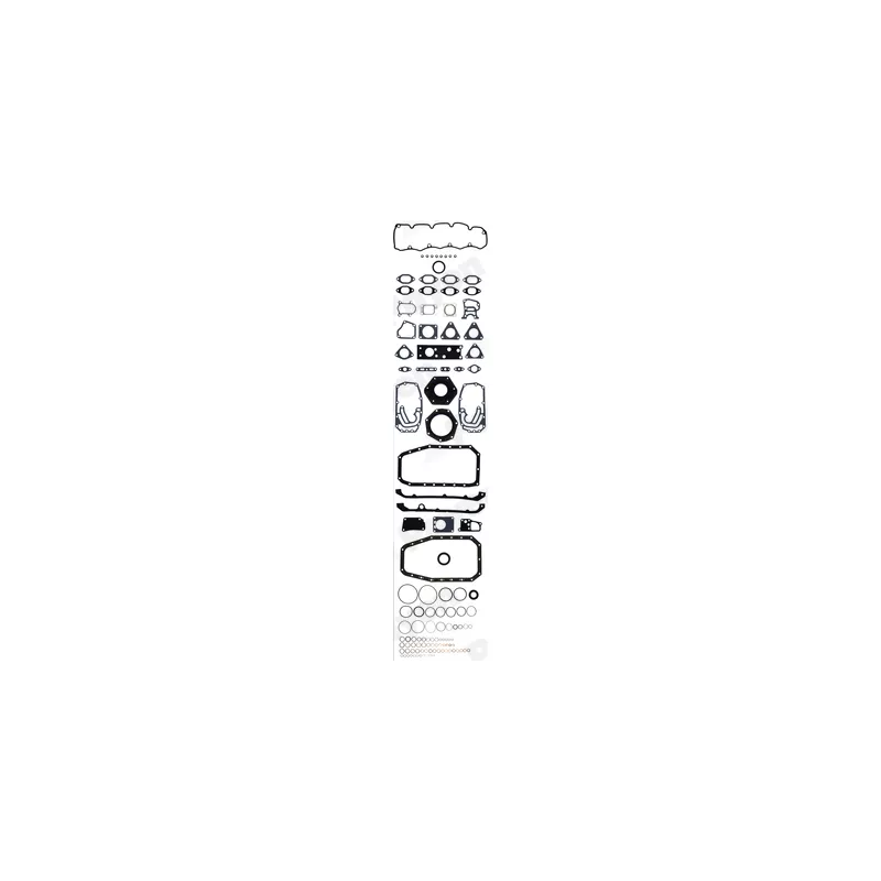 Pochette moteur complète PAYEN GX410