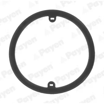 Bague d'étanchéité, radiateur d'huile PAYEN KK5686
