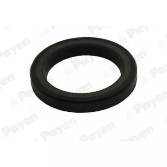 Bague d'étanchéité, vilebrequin PAYEN NA5506