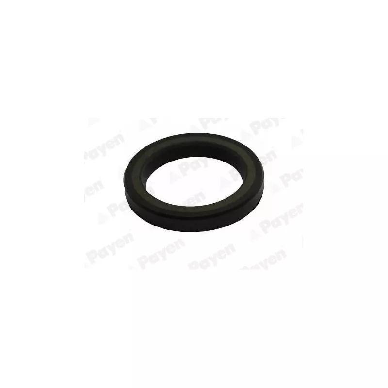 Bague d'étanchéité, vilebrequin PAYEN NA5506