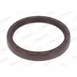 Bague d'étanchéité, vilebrequin PAYEN NF776 - Visuel 1
