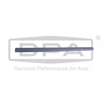 Baguette et bande protectrice, porte avant gauche DPA 88531803802