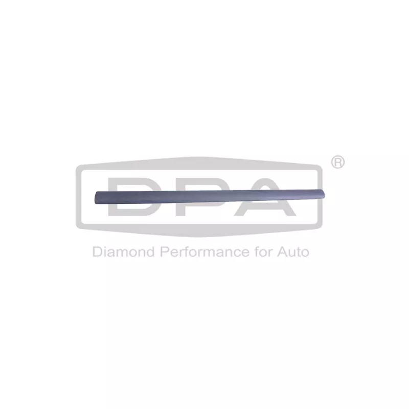 Baguette et bande protectrice, porte avant gauche DPA 88531803802