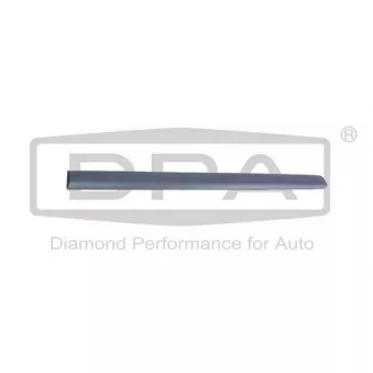 Baguette et bande protectrice, porte arrière gauche DPA 88531804002