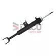 Amortisseur avant gauche DACO Germany 450313L - Visuel 1