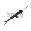 Amortisseur avant droit DACO Germany 450313R - Visuel 2