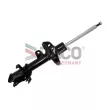 Amortisseur avant droit DACO Germany 451205R - Visuel 1