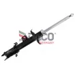 Amortisseur avant gauche DACO Germany 453501L - Visuel 2