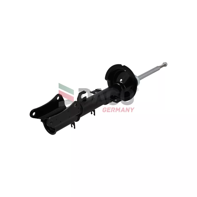 Jeu de 2 amortisseurs arrière DACO Germany 550101