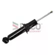 Jeu de 2 amortisseurs arrière DACO Germany 552802 - Visuel 1