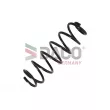 Ressort de suspension DACO Germany 800619 - Visuel 1