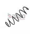 Ressort de suspension DACO Germany 800621 - Visuel 1
