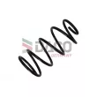 Ressort de suspension DACO Germany 801025 - Visuel 1
