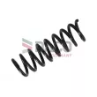 Ressort de suspension DACO Germany 802307 - Visuel 1