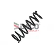 Ressort de suspension DACO Germany 810610 - Visuel 2
