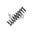 Ressort de suspension DACO Germany 811006 - Visuel 2