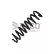 Ressort de suspension DACO Germany 812316HD - Visuel 1
