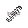 Ressort de suspension DACO Germany 813406 - Visuel 2