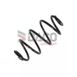 Ressort de suspension DACO Germany 813602 - Visuel 1