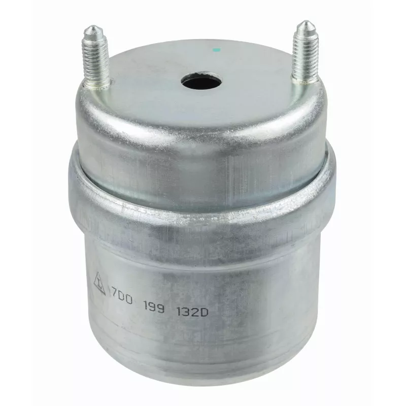 Support moteur LEMFORDER 25369 01