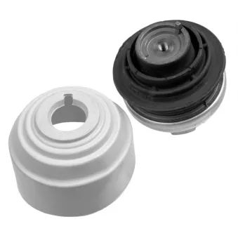 Support moteur LEMFORDER 25407 01
