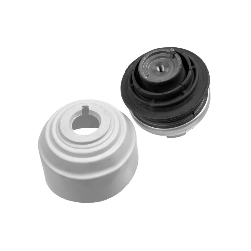 Support moteur LEMFORDER 25407 01