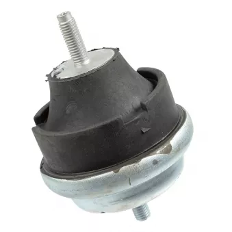 Support moteur LEMFORDER 36273 01