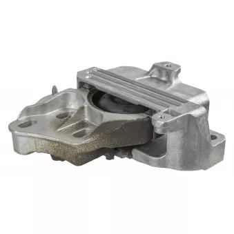 Support moteur LEMFORDER 43279 01