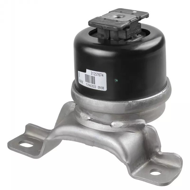 Support moteur LEMFORDER 43612 01
