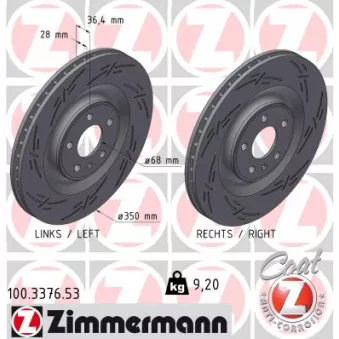 Jeu de 2 disques de frein arrière ZIMMERMANN 100.3376.53