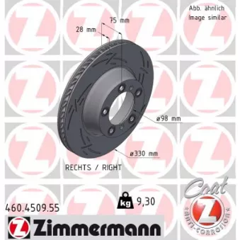 Disque de frein arrière droit ZIMMERMANN 460.4509.55