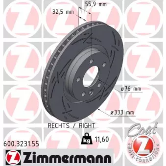 Disque de frein arrière droit ZIMMERMANN 600.3231.55