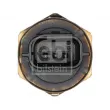 Capteur, pression de carburant FEBI BILSTEIN 183039 - Visuel 2