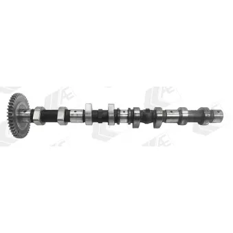 Arbre à came AE CAM1043