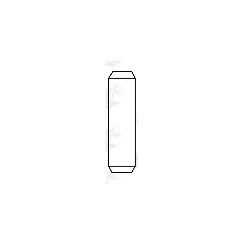 Guide de soupape AE VAG96404