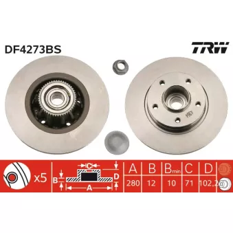 Jeu de 2 disques de frein arrière TRW DF4273BS
