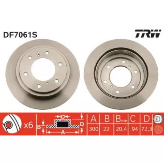 Jeu de 2 disques de frein arrière TRW