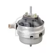 Support moteur FEBI BILSTEIN 176956 - Visuel 2
