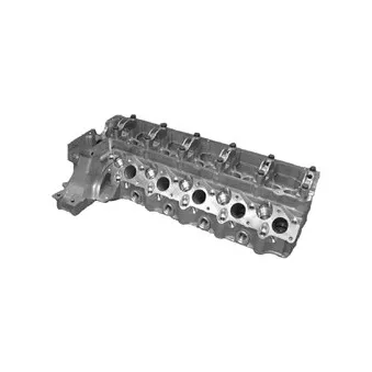 Culasse de cylindre KOLBENSCHMIDT 50003039