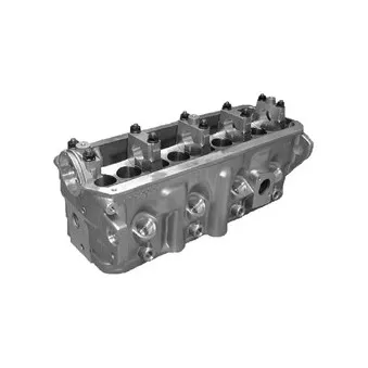 Culasse de cylindre KOLBENSCHMIDT 50003074